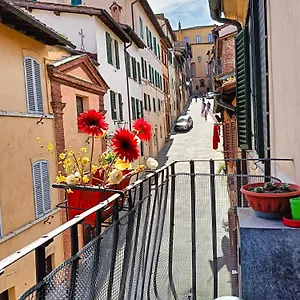 Appartamento La Campanina-nel Cuore Di E Della Contrada 